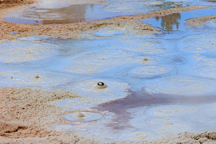 Yellowstone Mudpots