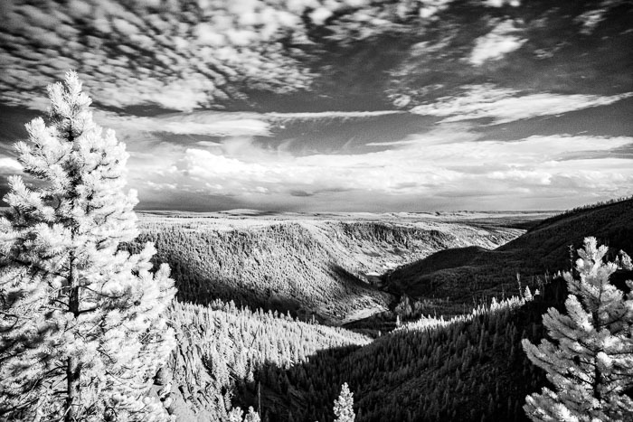 Yellowstone Scenics
