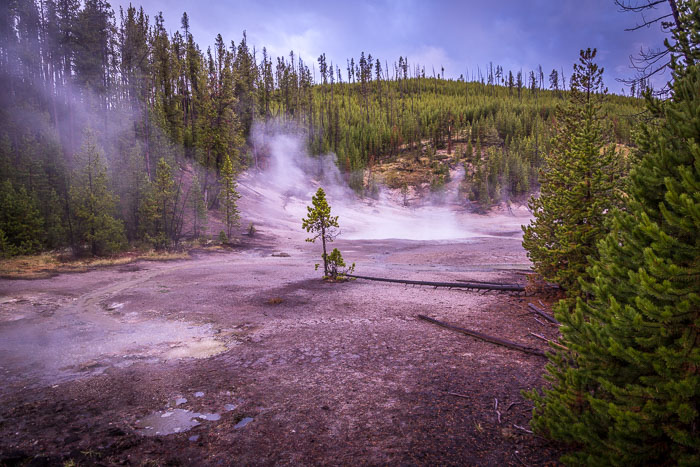 Yellowstone Scenics