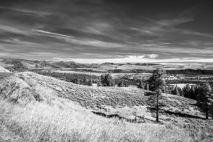 Yellowstone Scenics