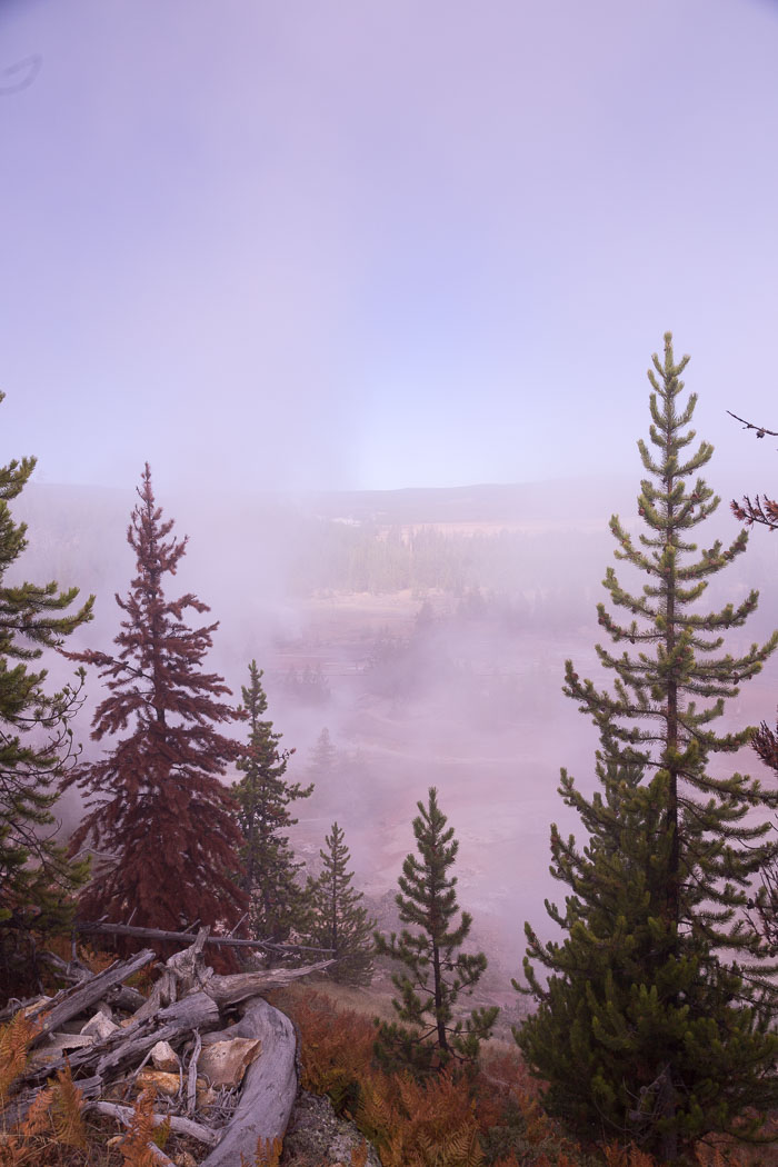 Yellowstone Scenics