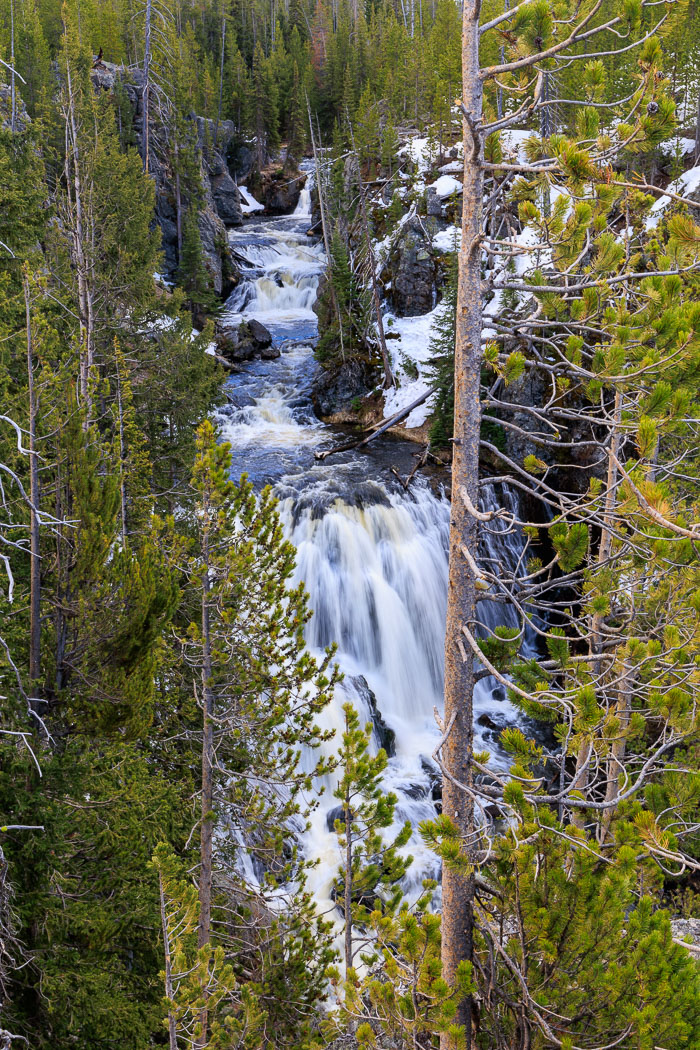 Yellowstone Scenics