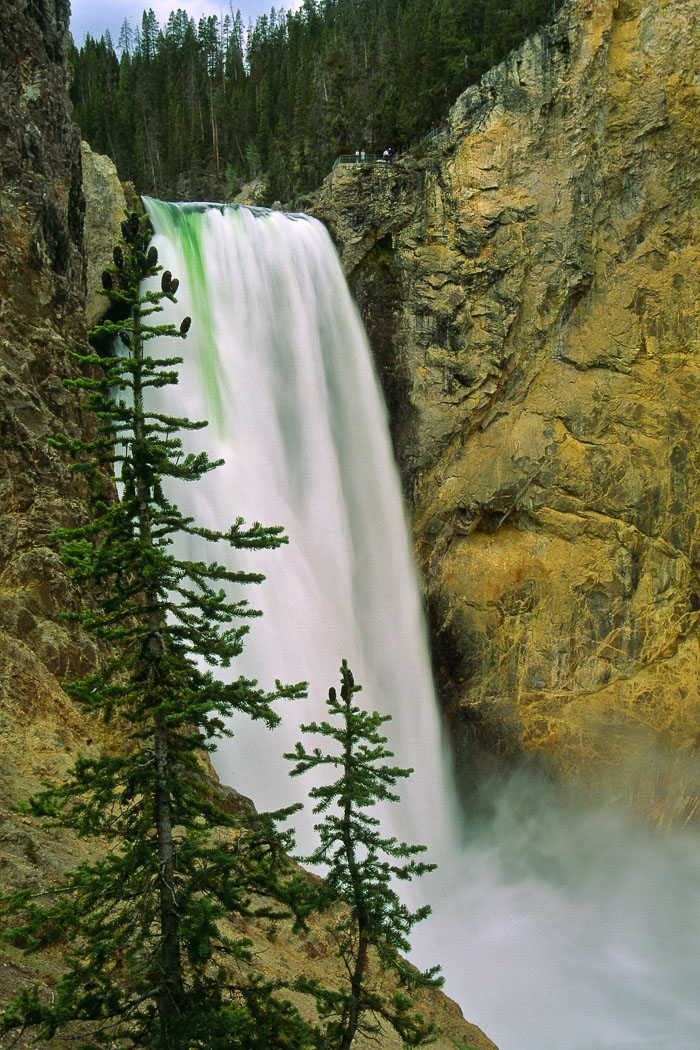 Yellowstone Scenics