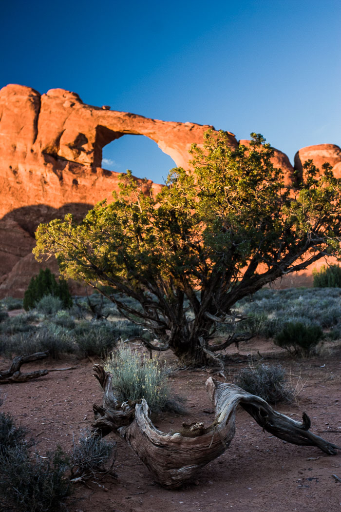 Arches National Park