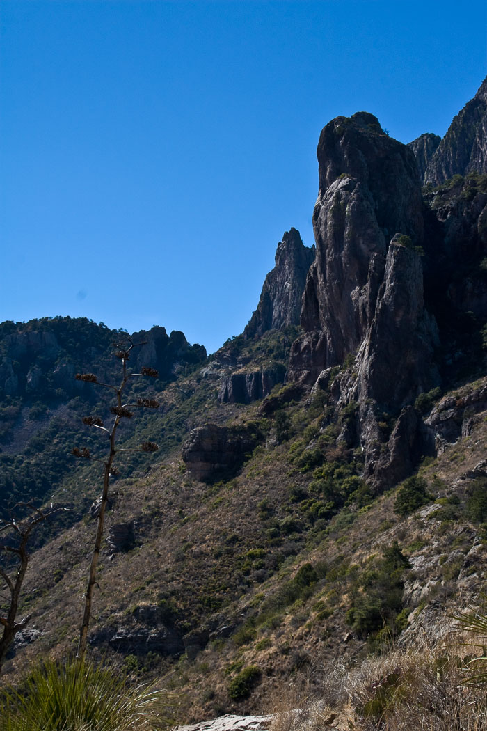Big Bend National Park