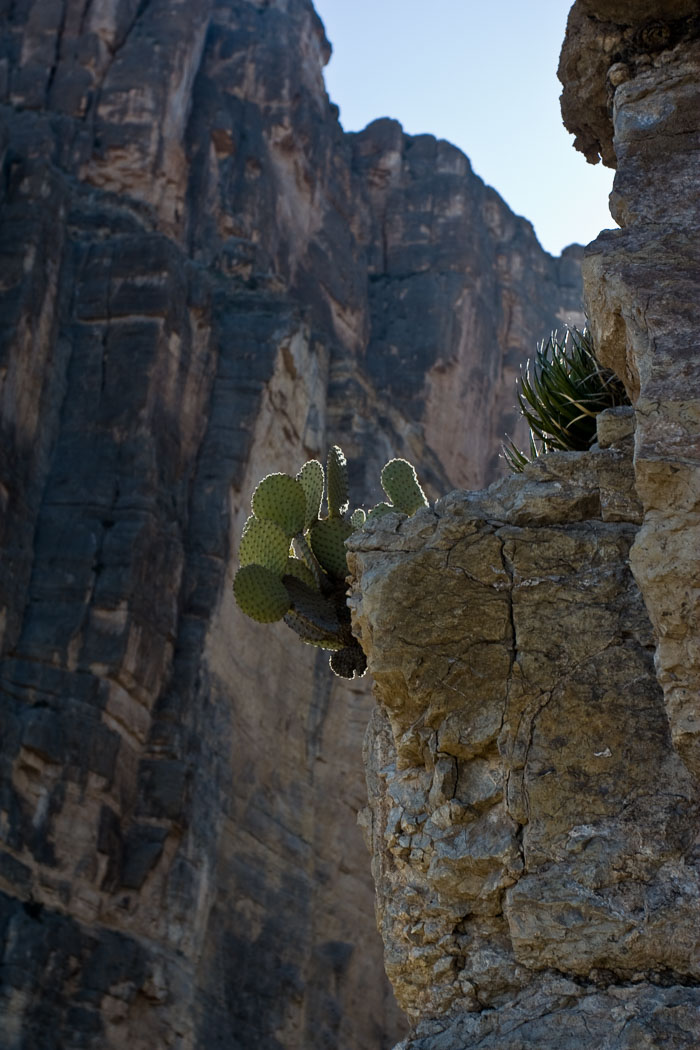 Big Bend National Park