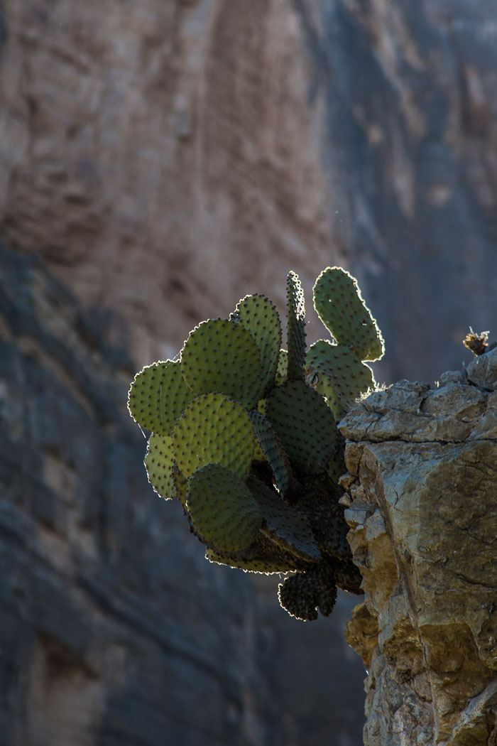 Big Bend National Park