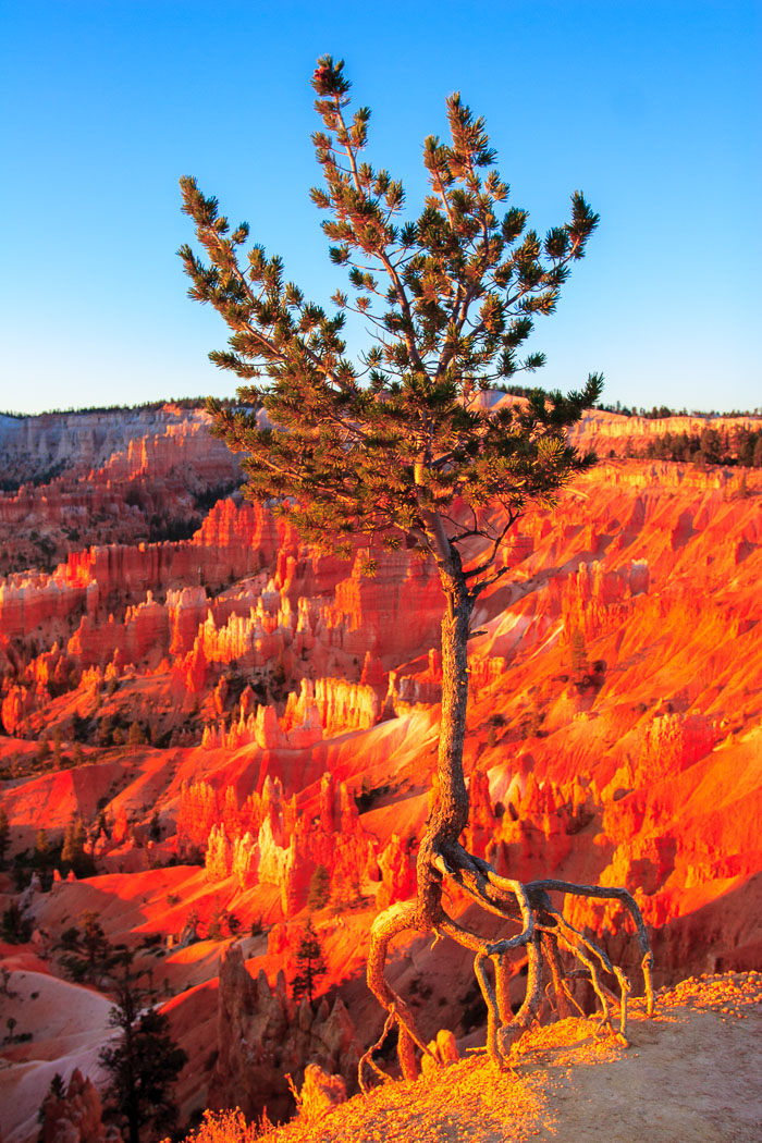 Bryce Canyon National Park