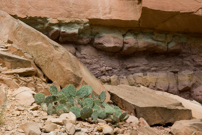 Capitol Reef National Park