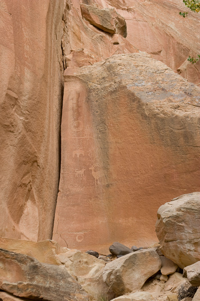 Capitol Reef National Park