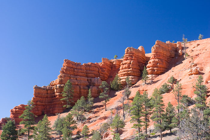 Capitol Reef National Park