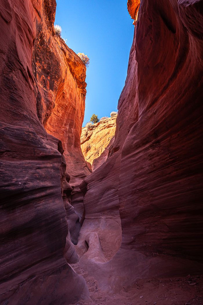 Escalante-Grand Staircase National Monument
