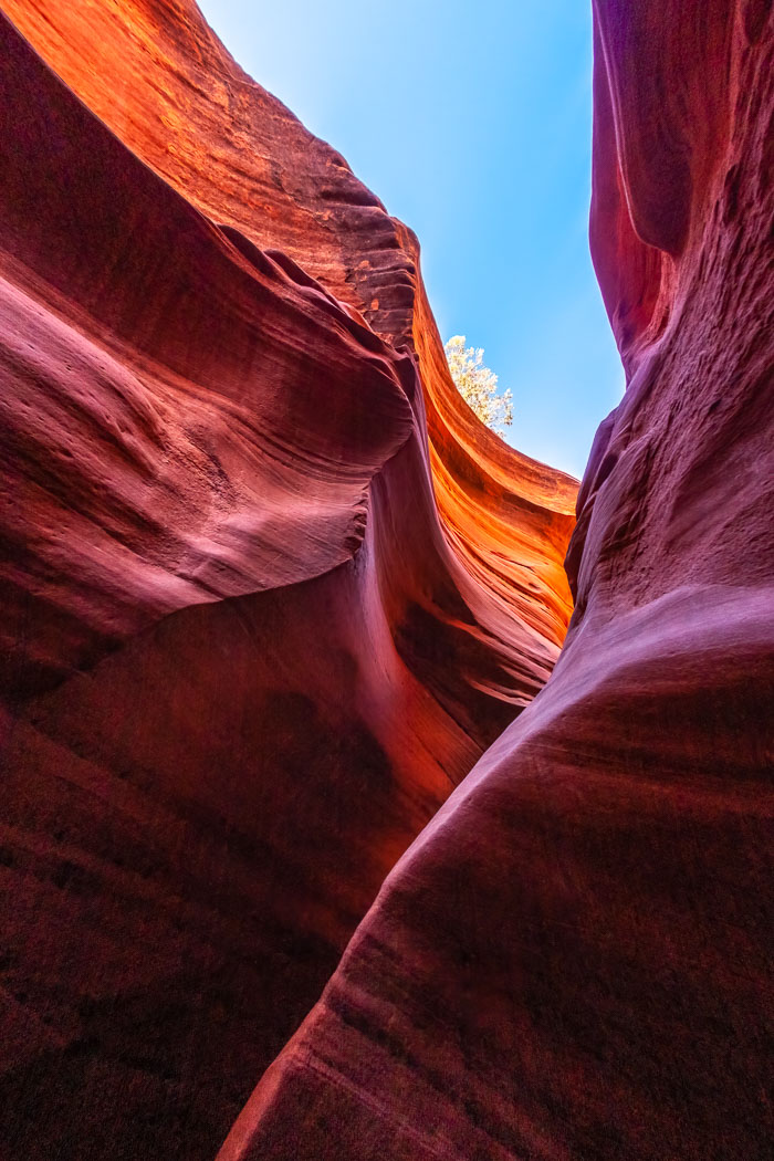 Escalante-Grand Staircase National Monument