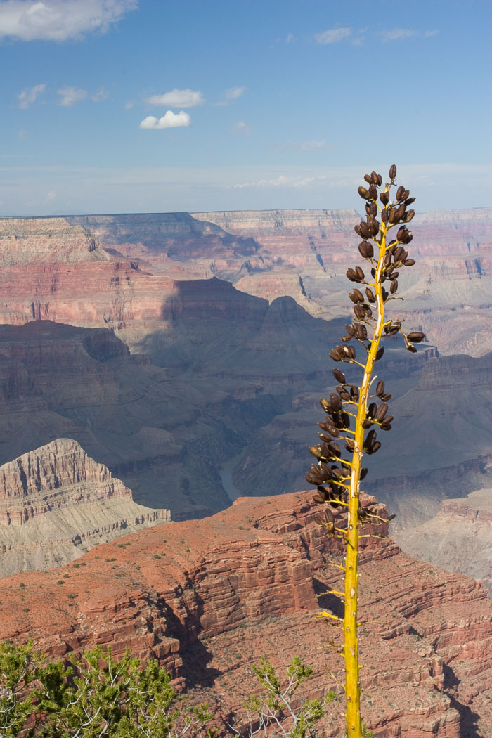 Grand Canyon National Park