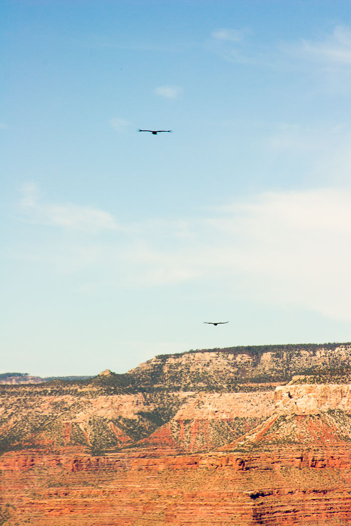 Grand Canyon National Park