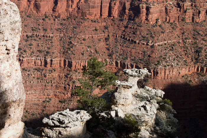 Grand Canyon National Park