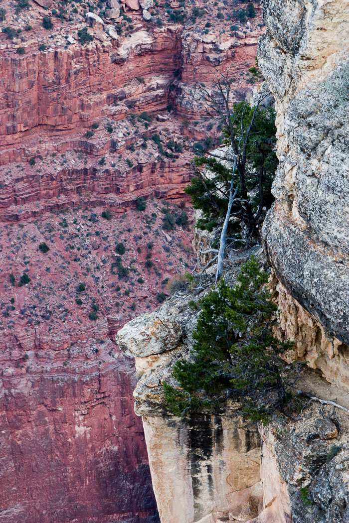 Grand Canyon National Park
