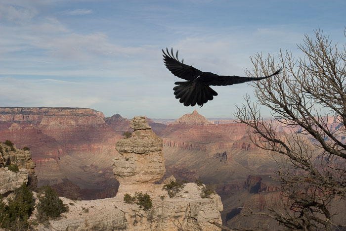 Grand Canyon National Park