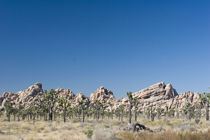 Desert Southwest National Parks and Monuments Desert Southwest National Parks and Monuments