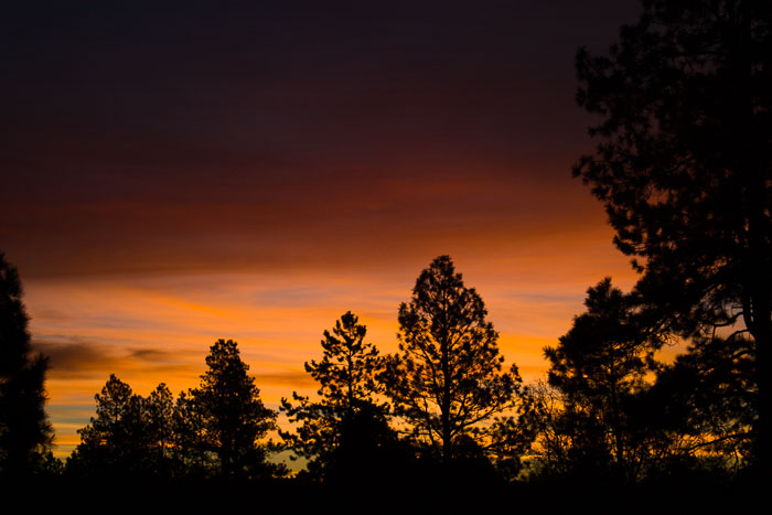 Desert Southwest National Parks and Monuments