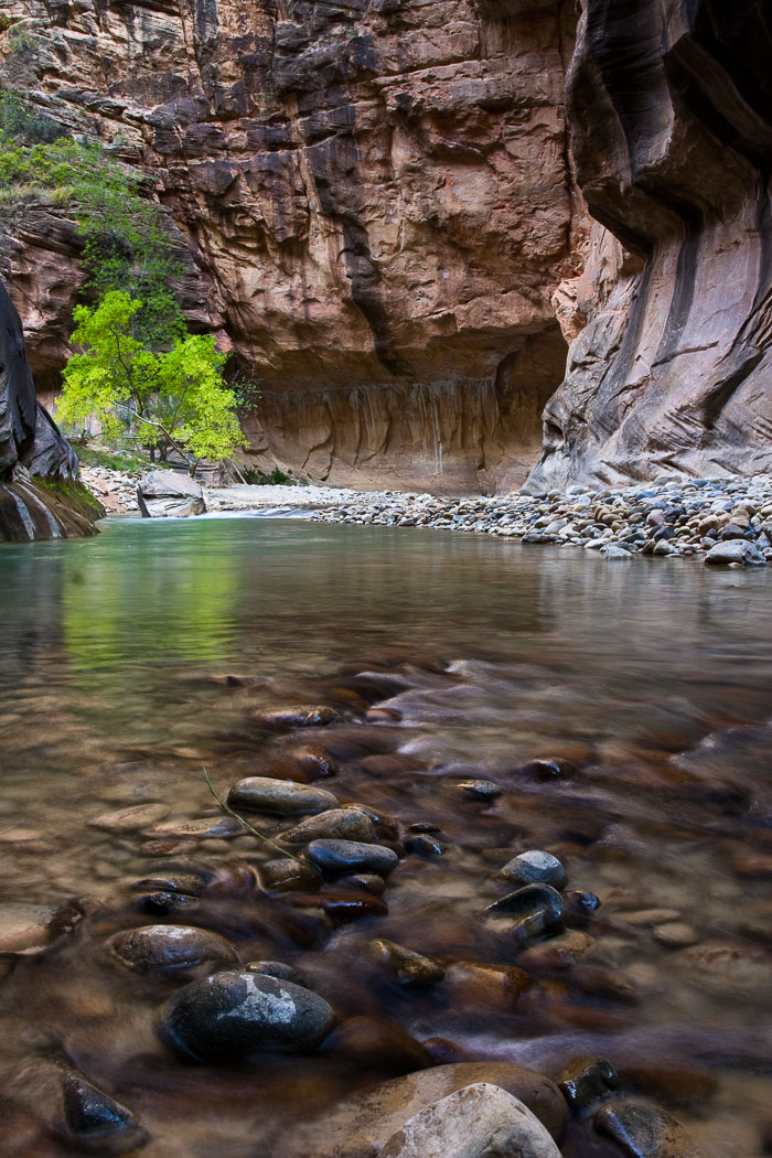 Zion National Park