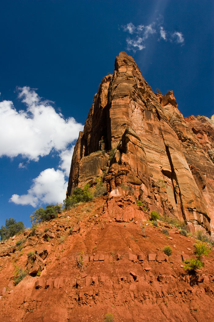 Zion National Park