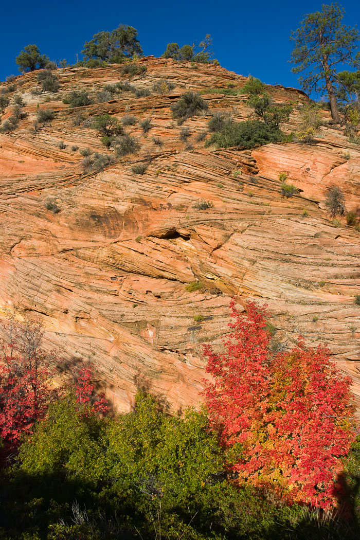 Zion National Park