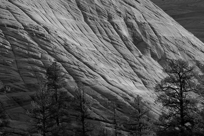 Zion National Park
