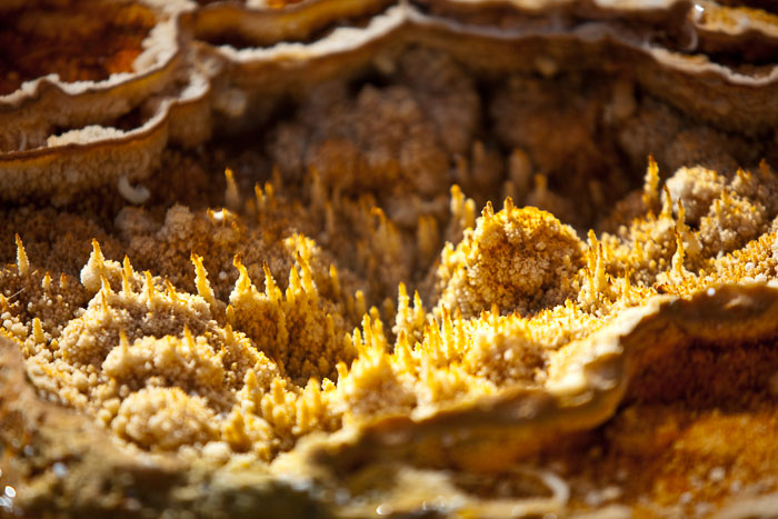 National Parks, Monuments, and Forests