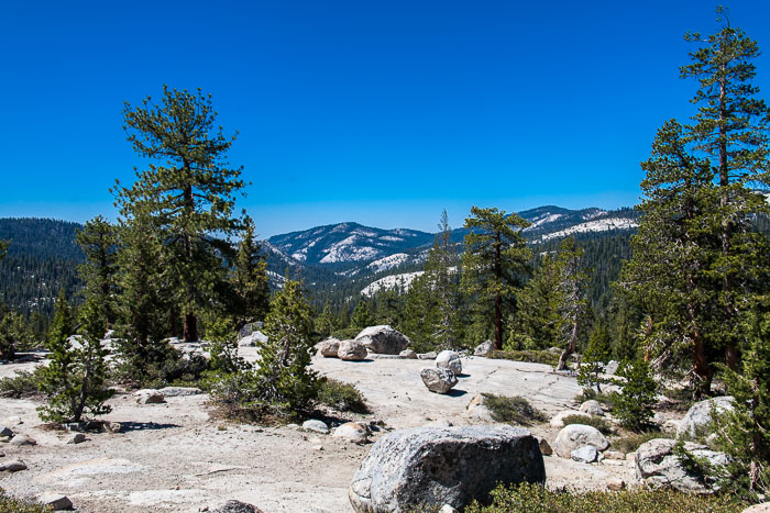 National Parks, Monuments, and Forests