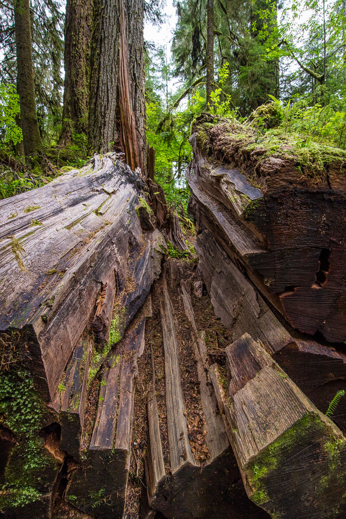 National Parks, Monuments, and Forests
