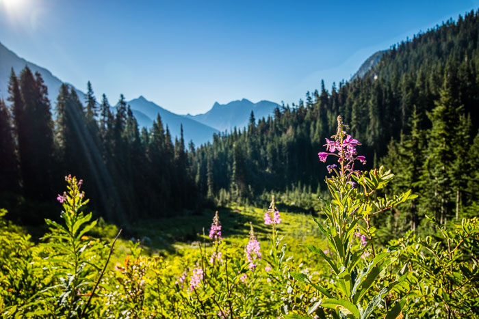National Parks, Monuments, and Forests
