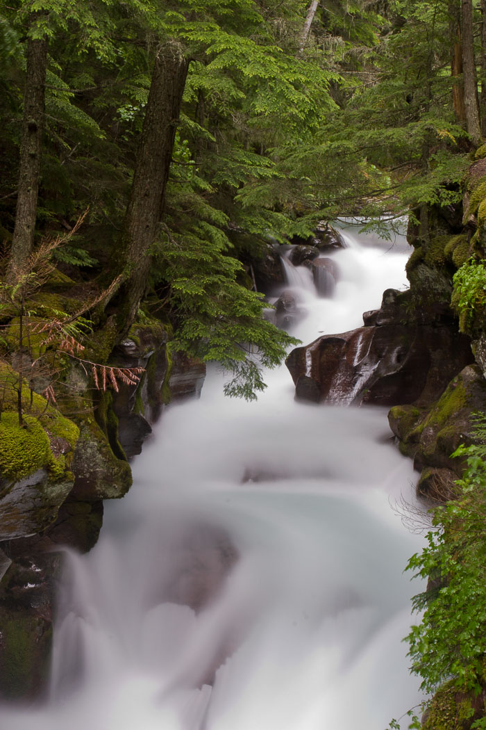 National Parks, Monuments, and Forests