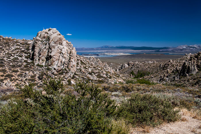Mono Lake Area