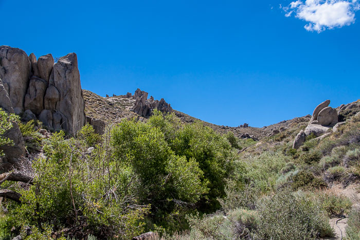Mono Lake Area