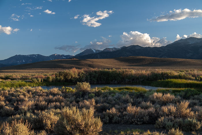 Mono Lake Area