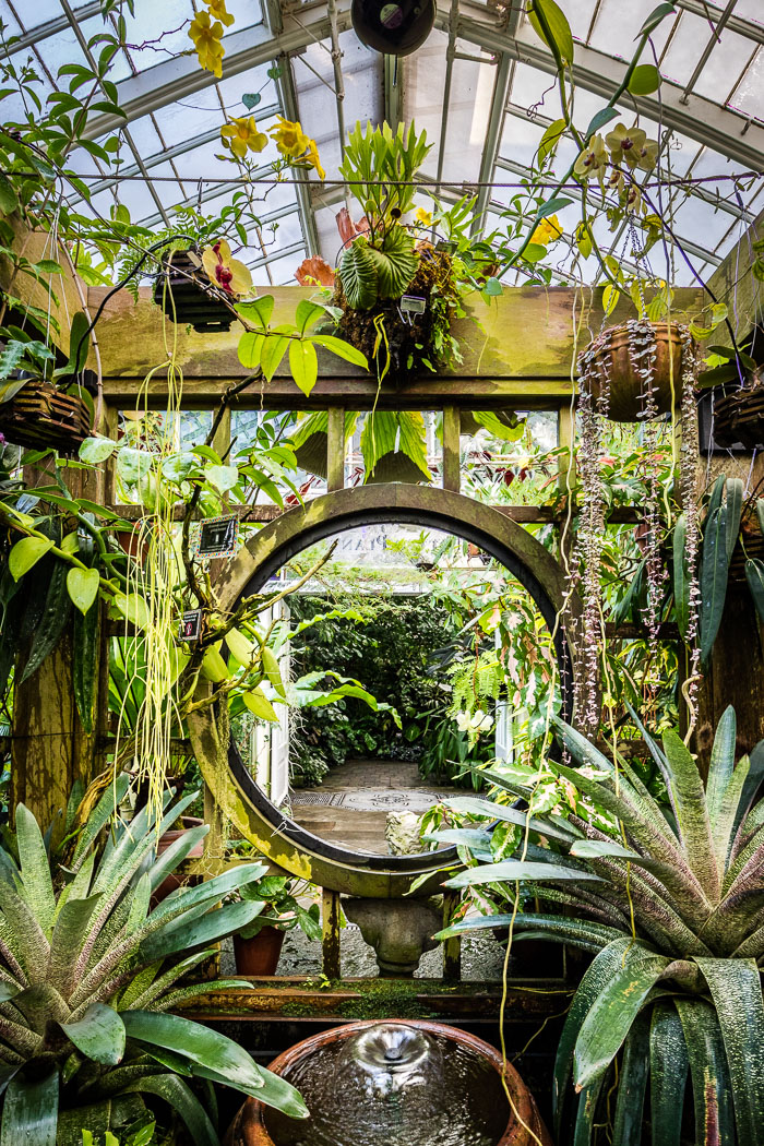 Conservatory of flowers