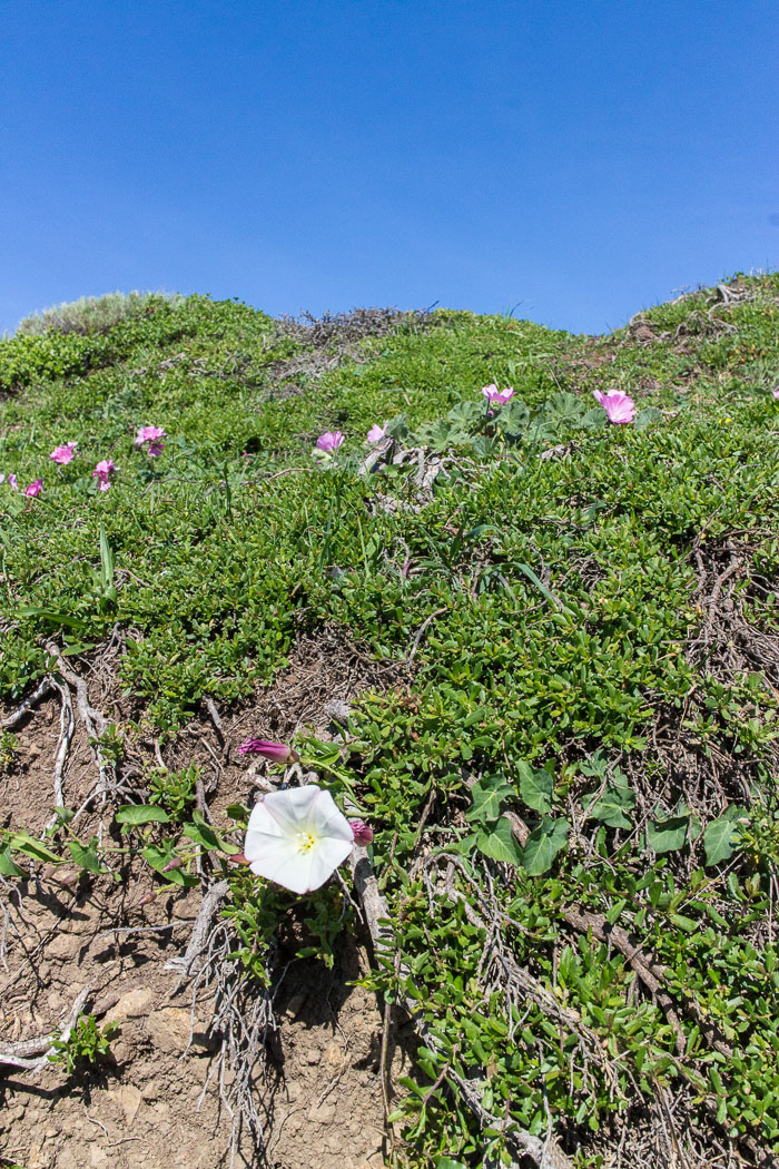 Marin Headlands - Golden Gate National Recreation Area