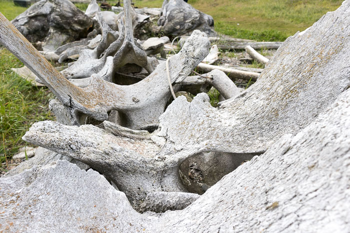 Marin Headlands - Golden Gate National Recreation Area