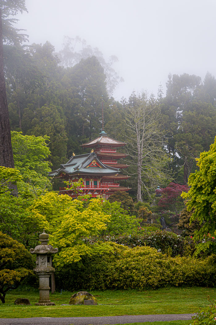 Japanese Tea Garden - Golden Gate Park