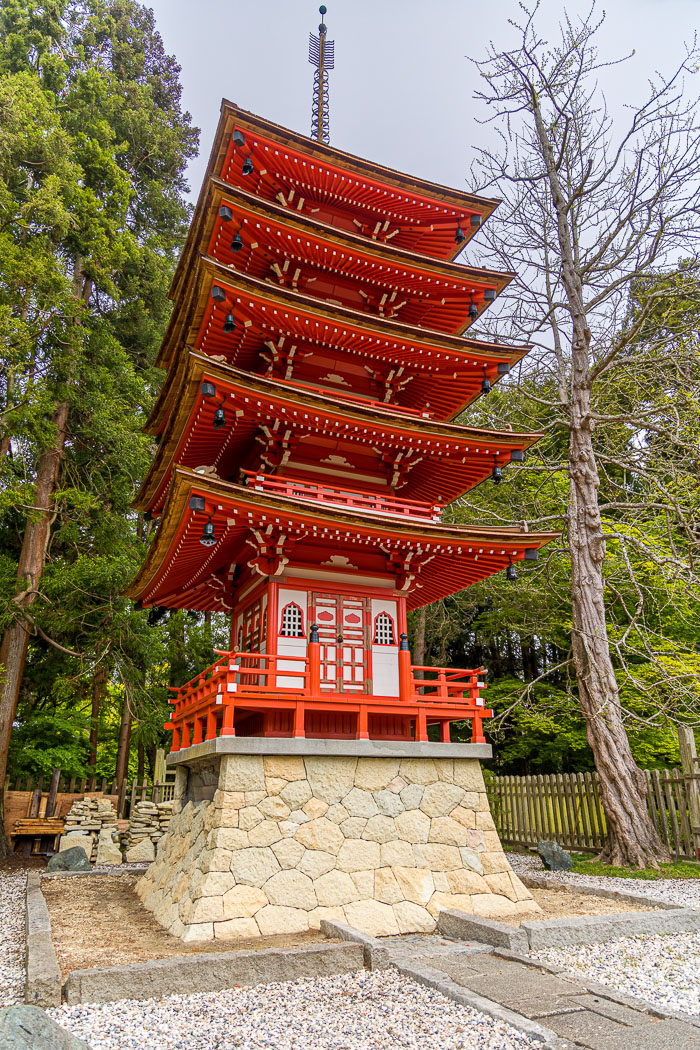 Japanese Tea Garden - Golden Gate Park