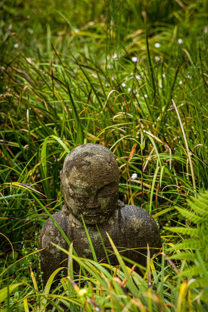 Japanese Tea Garden - Golden Gate Park