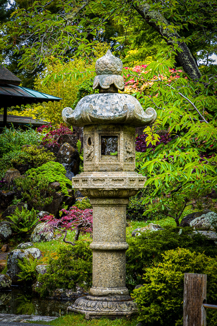 Japanese Tea Garden - Golden Gate Park