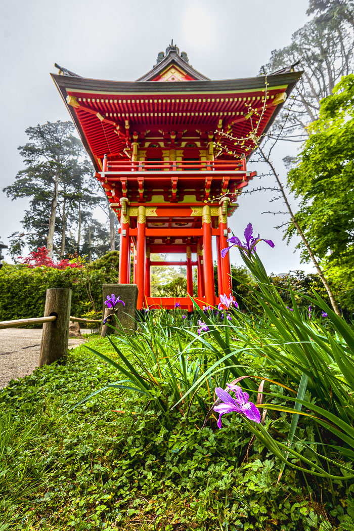 Japanese Tea Garden - Golden Gate Park