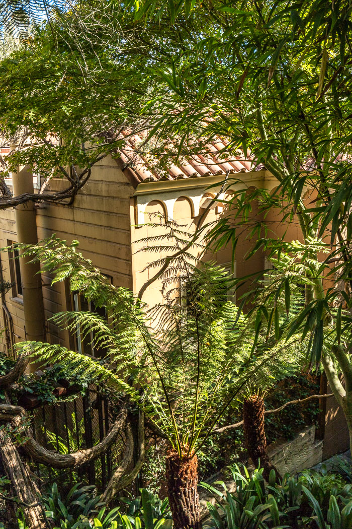 Secret stairs and special places on Russian Hill