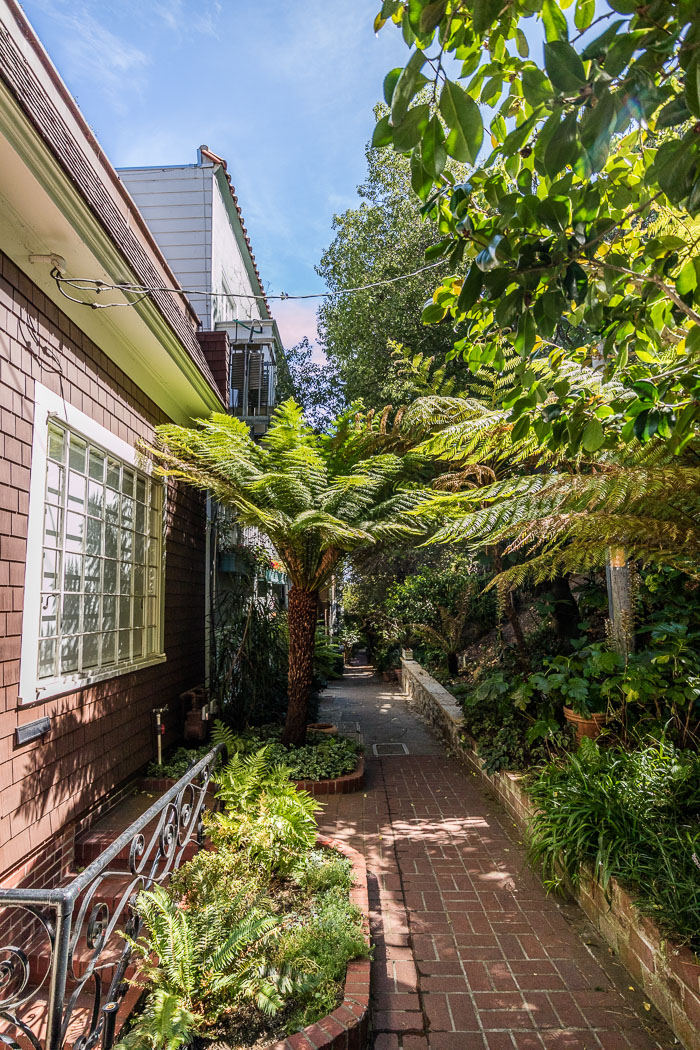 Secret stairs and special places on Russian Hill