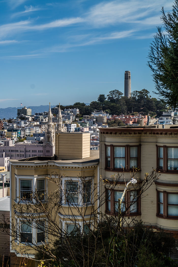 Secret stairs and special places on Russian Hill