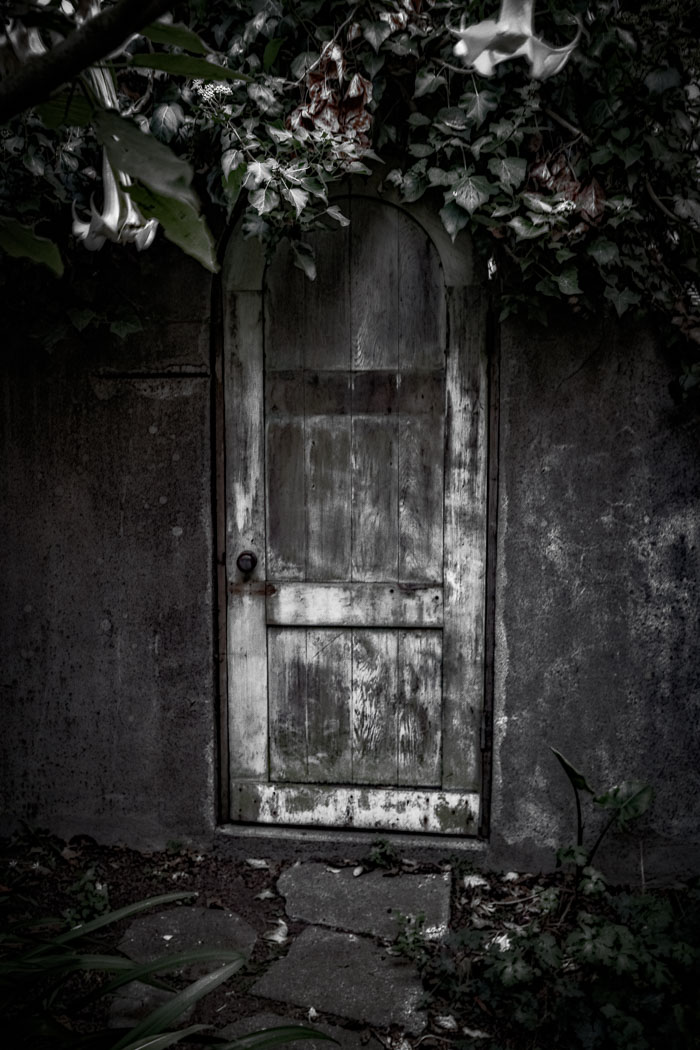 Secret stairs and special places on Russian Hill