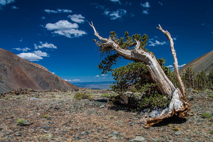 Virginia Lakes