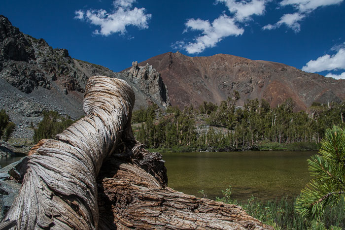 Virginia Lakes